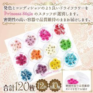 ドライフラワー 上質 押し花 こでまり 120...の詳細画像2