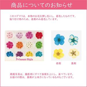 ドライフラワー 上質 押し花 こでまり 120...の詳細画像5