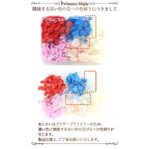 あじさい かすみ草 小分け プリザーブドフラワ...の詳細画像1