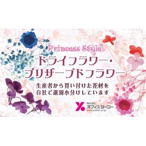 アイスランドモス ドライモス アロマワックスバ...の詳細画像2