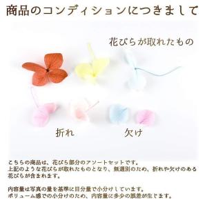あじさい 花びら プリザーブドフラワー 花材 ...の詳細画像3
