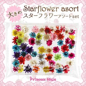 スターフラワー 大きめ ドライフラワー 花材 アソートセット