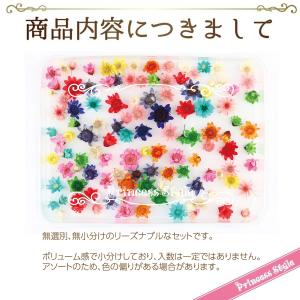 スターフラワー 無選別 レジン ハンドメイド材...の詳細画像1