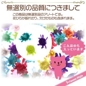 スターフラワー 無選別 レジン ハンドメイド材...の詳細画像2