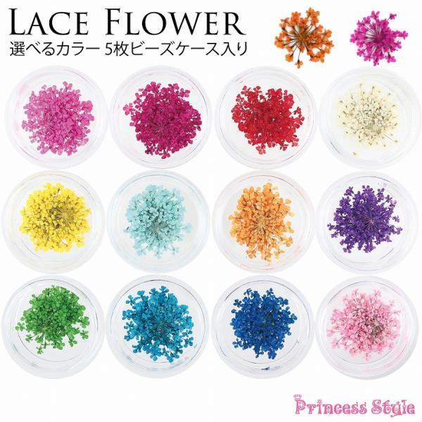 ドライフラワー レースフラワー 押し花 素材 パーツ レジン 材料 花材 デコ ネイル 封入素材 花...