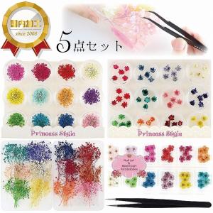 かすみ草 ドライフラワー 小分け レジン アクセサリーパーツ ハー