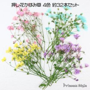 かすみ草 ドライフラワー 小分け レジン アクセサリーパーツ ハー