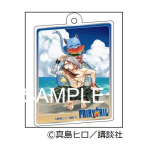 予約 01/27 発送予定】 FAIRY TAIL アクリルキーホルダー 1 グッズ