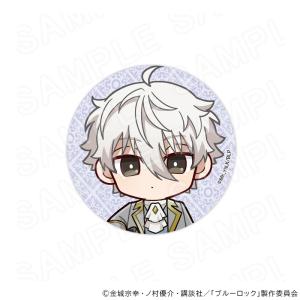 【 09/18 発送予定】 TVアニメ『ブルーロ...の商品画像