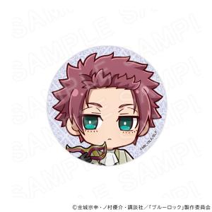【 10/09 発送予定】 TVアニメ『ブルーロ...の商品画像
