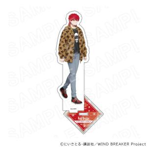 家庭教師ヒットマンREBORN くじメイト REBORN CCGX Ver. D-1賞 メタル