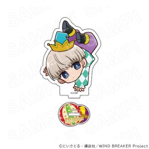 BANDAI（バンダイ） 香港版 アイカツ！バインダー いちごVer