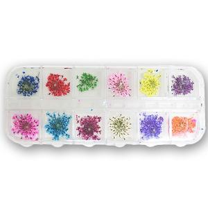 SUQQU（スック） 【送料無料】SUQQU デザイニング カラー アイズ #09