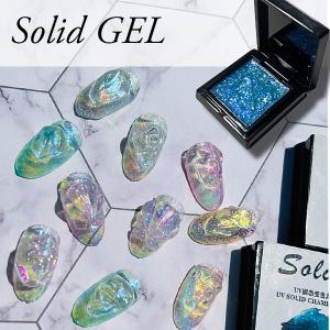リーフジェル プレミアム LEAFGEL PREMIUM サンディングフリー+ 8g