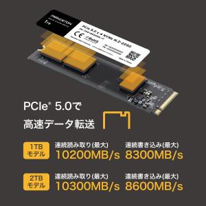 プリンストン 内蔵SSD 1TB PCIe 5...の詳細画像2