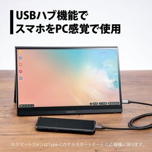 プリンストン 13.3インチ モバイルディスプ...の詳細画像4