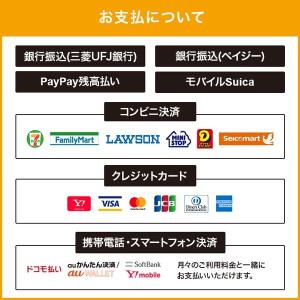 プリンストン USB接続セキュリティキー UC...の詳細画像1