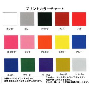 セカンドユニフォーム カラーTシャツ 胸チーム...の詳細画像2