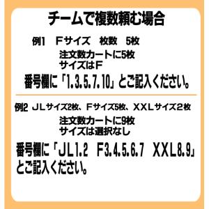 ライトブルー ビブス チーム名 番号 黒 プリ...の詳細画像5