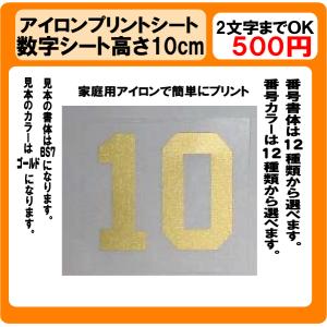 番号　プリント　シート　Ｈ10ｃｍ　ラバー