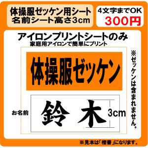 体操服　名前　プリント　シート　Ｈ3ｃｍ　ラバー　ぜっけん