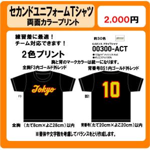 セカンドユニフォーム カラーTシャツ　胸チーム名　背番号　２色　カラープリント　DTF