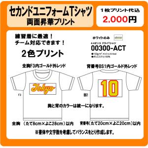 セカンドユニフォーム　Tシャツ　胸チーム名　背番号　２色　昇華プリント｜プリントりん