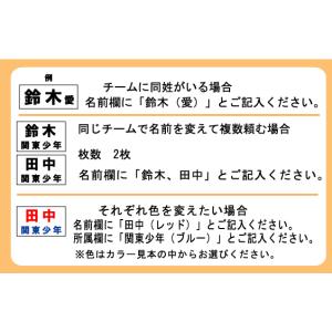 カラーゼッケン野球 背番号 ゼッケン (少年用...の詳細画像4