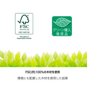 鉛筆 名入れ 無料 [ステッドラー] 試験用鉛...の詳細画像4