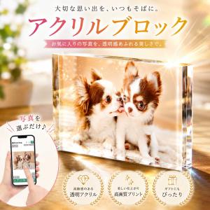 アクリルブロック 印刷 プリント アクリル オリジナル 写真 名入れ対応 アクリルキューブ 透明 推し活 ウエディング 結婚祝い ペット プレゼント ギフト｜Print-Dog プリントドッグ