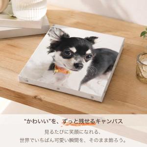 キャンバス ペット 写真 キャンバスプリント ...の詳細画像2