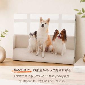 キャンバス ペット 写真 キャンバスプリント ...の詳細画像3