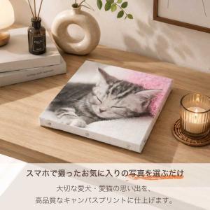 キャンバス ペット 写真 キャンバスプリント ...の詳細画像4