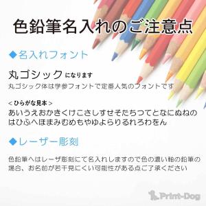 色鉛筆 名入れ鉛筆 名入れ無料[サクラクレパス...の詳細画像3