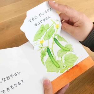 [コクヨ] しかけ絵本 4冊セット 0歳 1歳...の詳細画像5