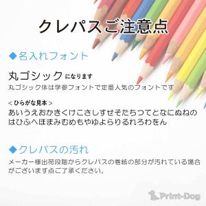 名入れクレパス 名入れ無料 [サクラクレパス]...の詳細画像2
