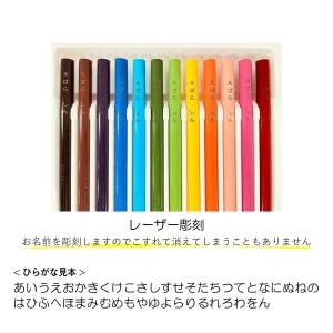 名入れ色鉛筆 名入れ無料 [サクラクレパス] ...の詳細画像1