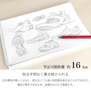 名入れ鉛筆 メタシル メタルペンシル サンスタ...の詳細画像3