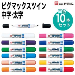 サクランボ♡ページ♪ サクラクレパス ZPK-T12 水性マーカー ピグマックスツイン 12色セット