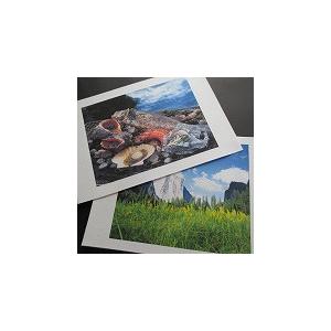 インクジェット用　帆布 ロール 914mm×7m 2インチ紙管 メーカー直送品