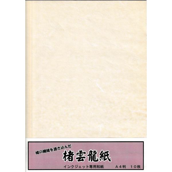 楮雲龍紙 Ａ４ 100枚入　 インクジェット用 メーカー直送品