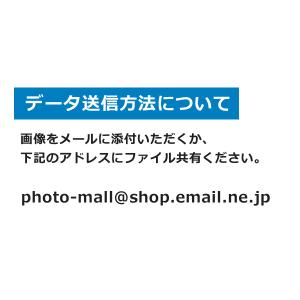 フジカラー純正デジカメプリント KGハガキサイ...の詳細画像2