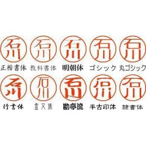 訂正印 楕円1行(横) フォーム注文6 ブラザ...の詳細画像1