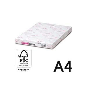 A4プリンター用紙 J 500枚/2冊セット V649x2 富士フィルムBI