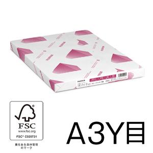 A3プリンタ用紙 J 250枚/冊 V652 富士フィルムBI