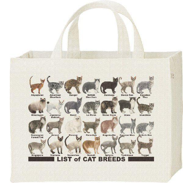猫の品種リスト/キャンバスバッグ・スクエア　カレッジバッグ