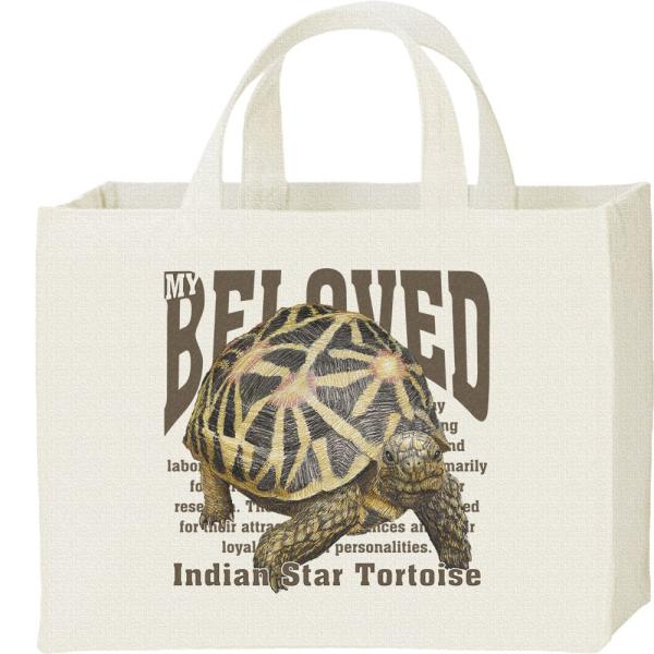 インド ホシガメ（亀）かめ/ペット シリーズ/キャンバスバッグ・スクエア　カレッジバッグ
