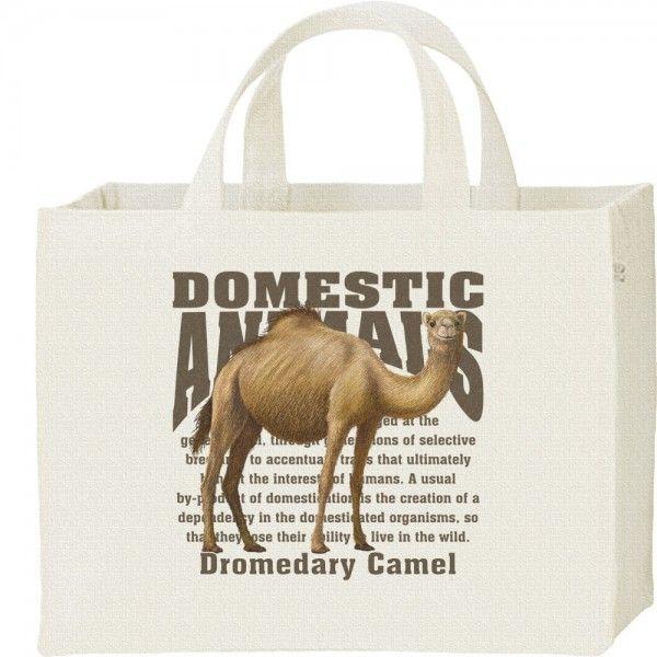 ヒトコブ ラクダ/飼育動物・家畜/キャンバスバッグ・スクエア　カレッジバッグ