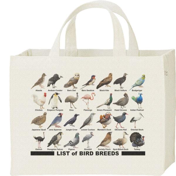 鳥のリスト/キャンバスバッグ・スクエア　カレッジバッグ