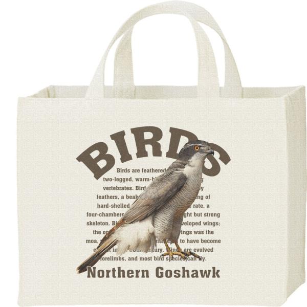 オオタカ（鳥シリーズ）/キャンバスバッグ・スクエア　カレッジバッグ